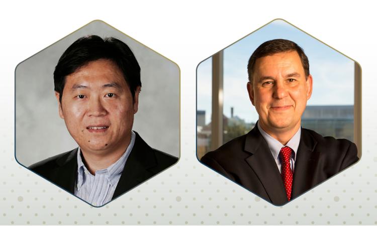ECE Professors Wenshan Cai and Stanislav Emelianov.