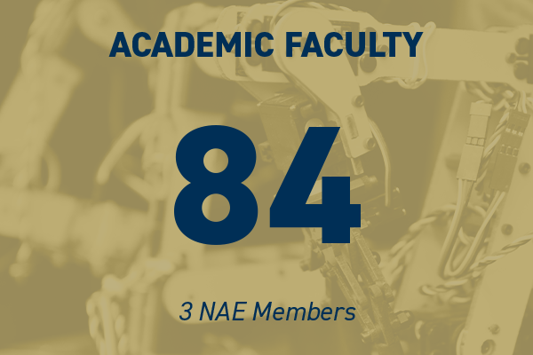 84 Academic Faculty Members 