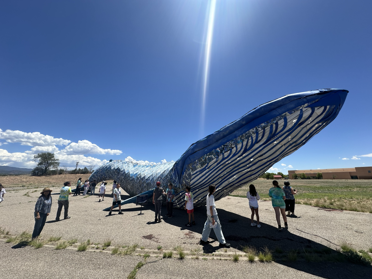 Whale