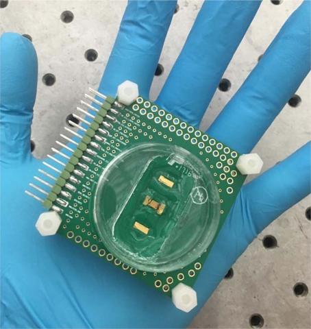 Cellular Sensing Array Cellular Sensing Array