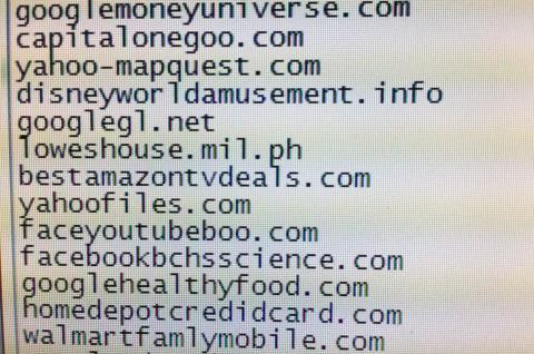 Examples of combosquatted domains