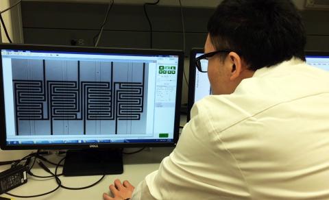 Ovarian cancer cells in microfluidic chip