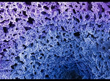 color microscopic image showing a highly porous material with interconnected openings and a textured blue-to-purple surface.