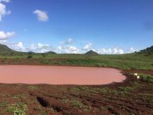 Pond water in Marsabit, Kenya 
