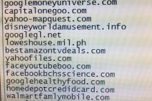 Examples of combosquatted domains